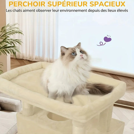 Arbre à Chat en Bois XXL Stable 210cm - Idéal Grands Chats - Poteaux Sisal & Perchoir Large (60cm)